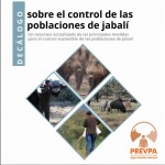 Decàleg publicat pel GO PREVPA 'Principals mesures per al control sostenible de les poblacions de porc senglar'
